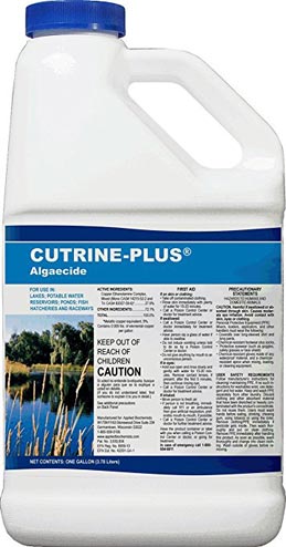 Cutrine Plus Liquid - 1 Gallon Treats up to 1/2 Acre + Free Ship - Click Image to Close