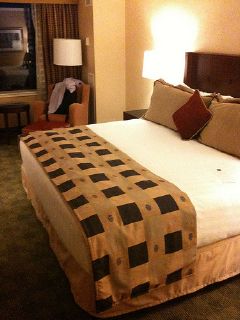 hotel rooms often are infested with bed bugs