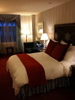 hotel rooms often have bed bug infestation